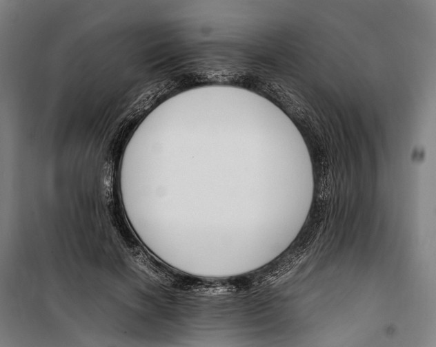 X0000099510646200806121440