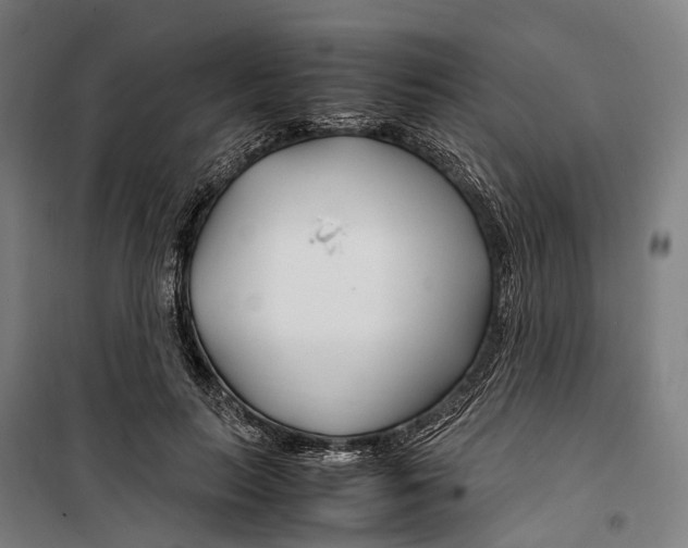 X0000099510647200806121440