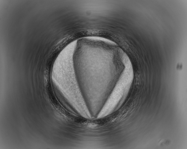 X0000099510648200806121440