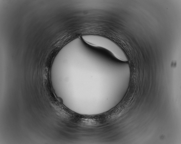 X0000099510649200806121440