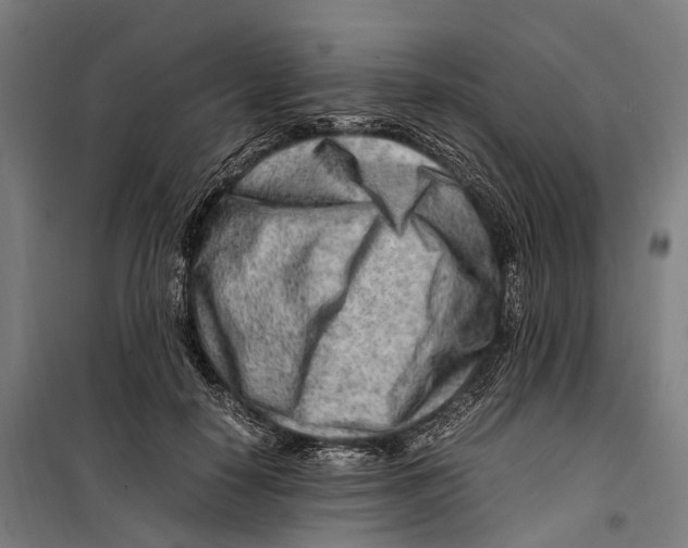 X0000099510650200806121440