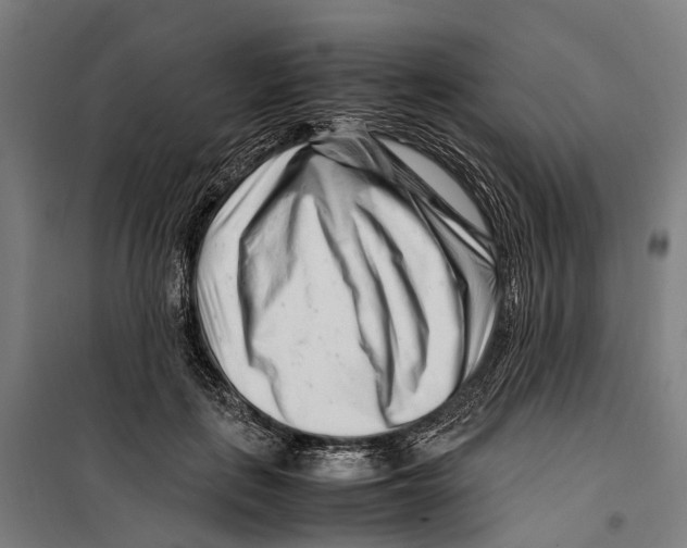 X0000099510651200806121440