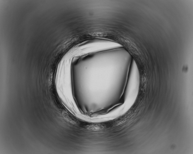 X0000099510652200806121440
