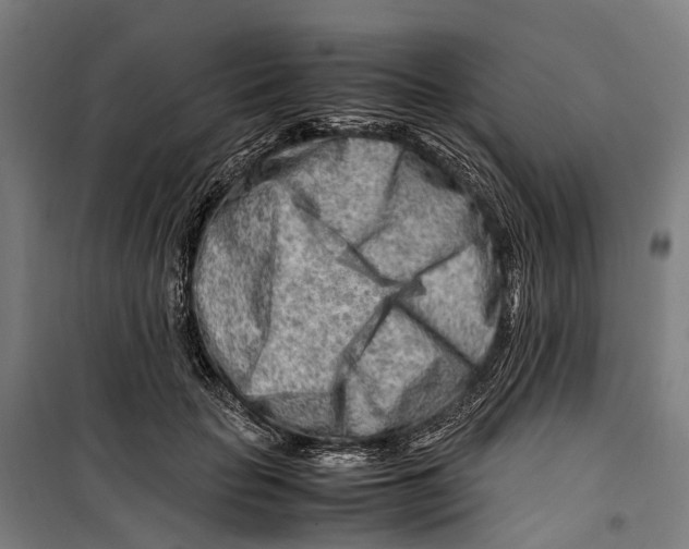 X0000099510653200806121440
