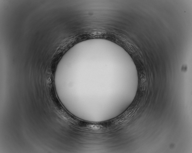 X0000099510654200806121440