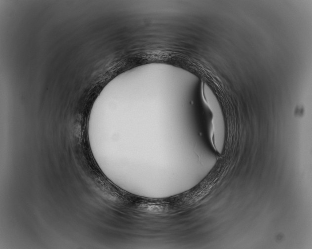 X0000099510655200806121440