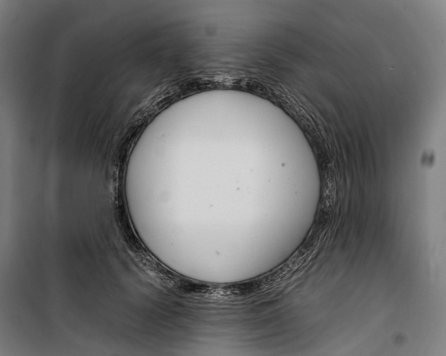 X0000099510656200806121440