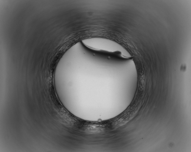 X0000099510657200806121440