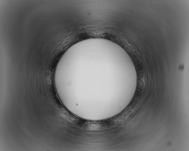 X0000099510658200806121440