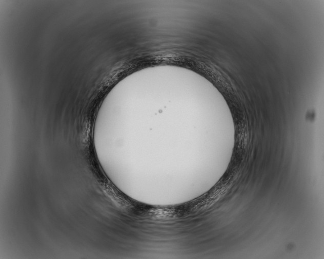 X0000099510660200806121440