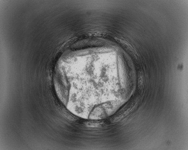 X0000099510661200806121440