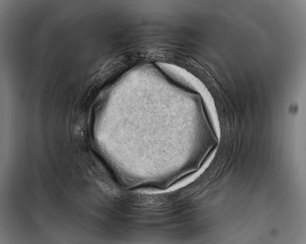 X0000099510663200806121440