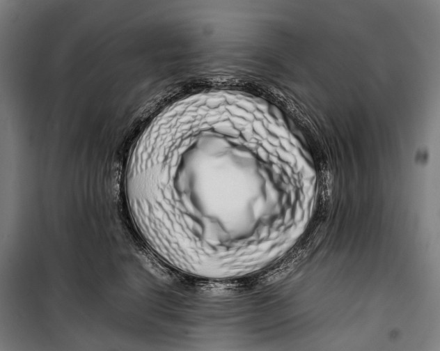 X0000099510664200806121440