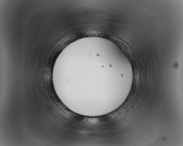 X0000099510665200806121440