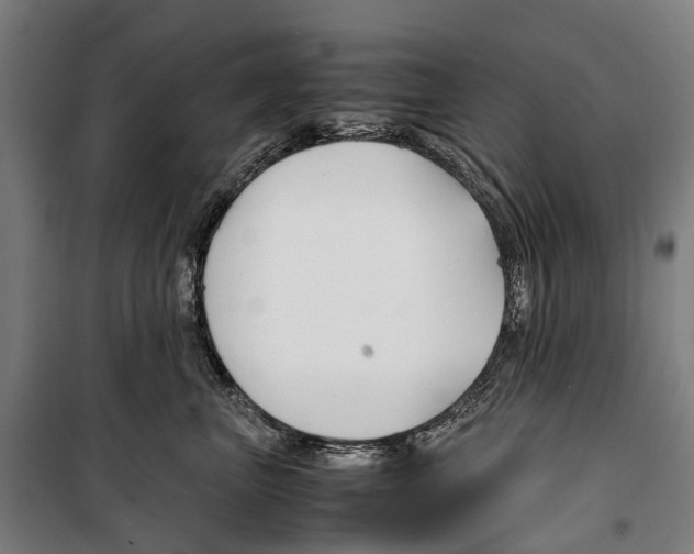 X0000099510667200806121440