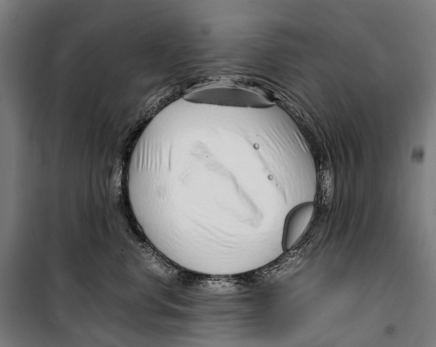 X0000099510668200806121440