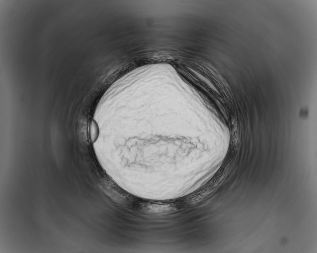 X0000099510669200806121440