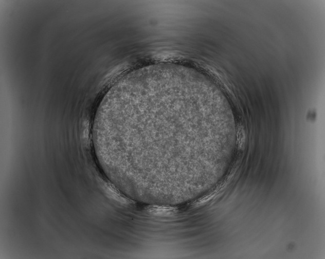 X0000099510670200806121440
