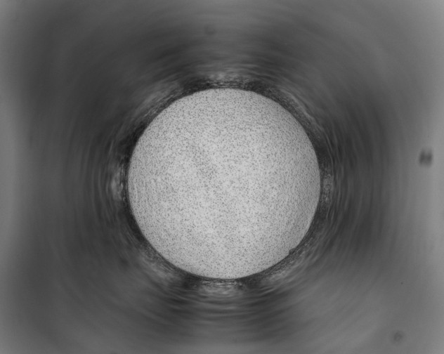 X0000099510671200806121440
