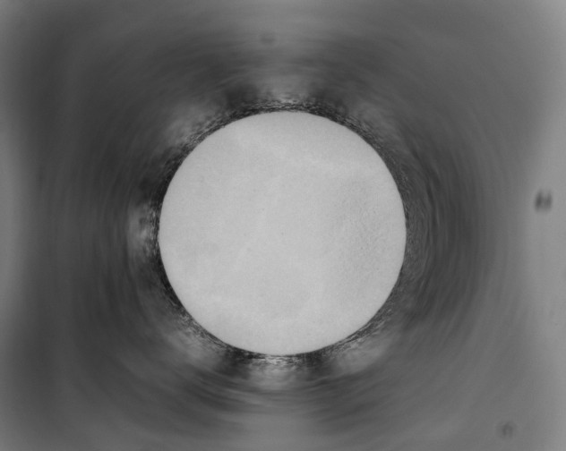 X0000099510672200806121440
