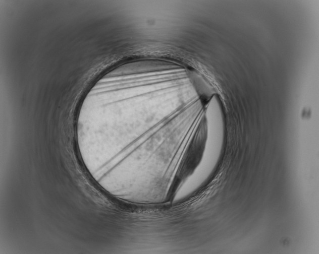 X0000099510673200806121439