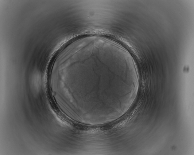 X0000099510674200806121439