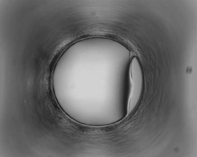 X0000099510675200806121439