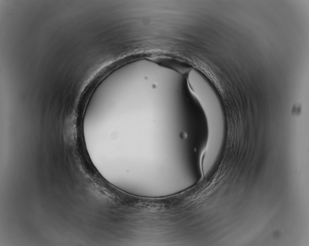 X0000099510676200806121439