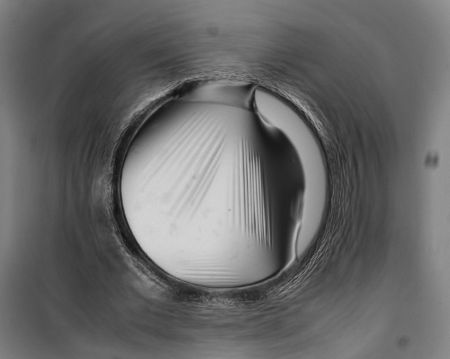 X0000099510677200806121439