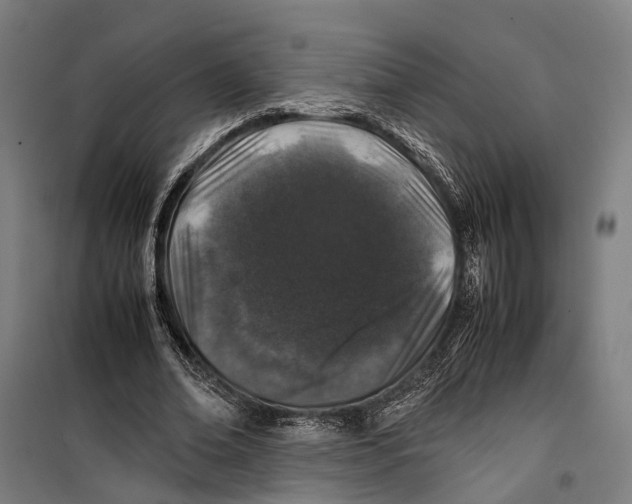 X0000099510678200806121439
