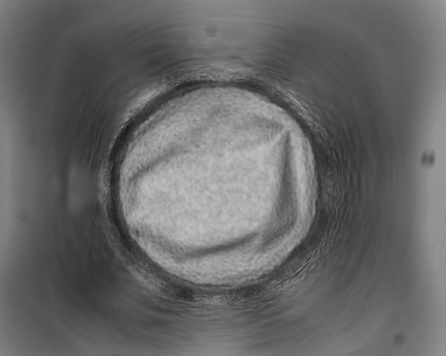 X0000099510679200806121439