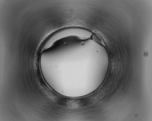 X0000099510680200806121439