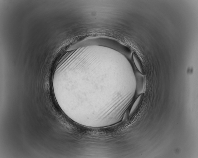 X0000099510681200806121439