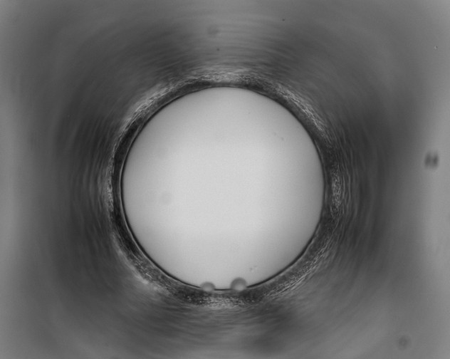 X0000099510682200806121439