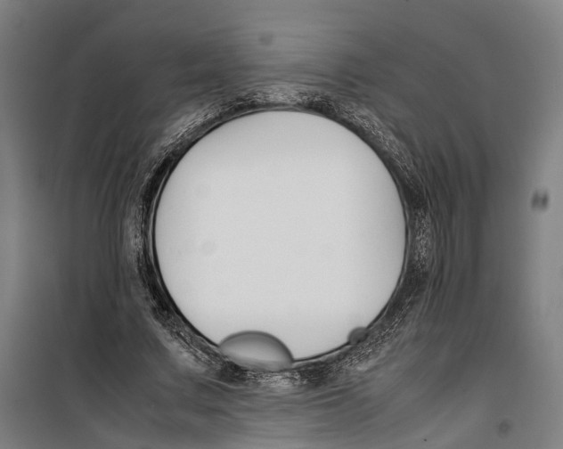 X0000099510683200806121439