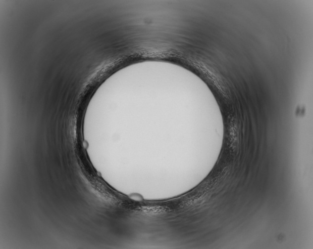 X0000099510686200806121439