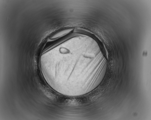 X0000099510688200806121439