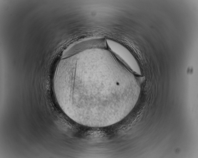 X0000099510689200806121439