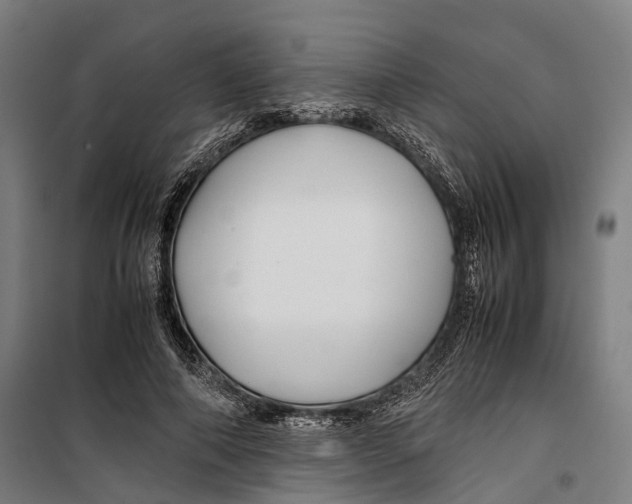 X0000099510690200806121439