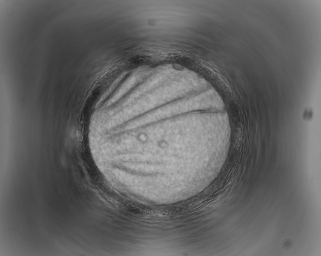 X0000099510691200806121439