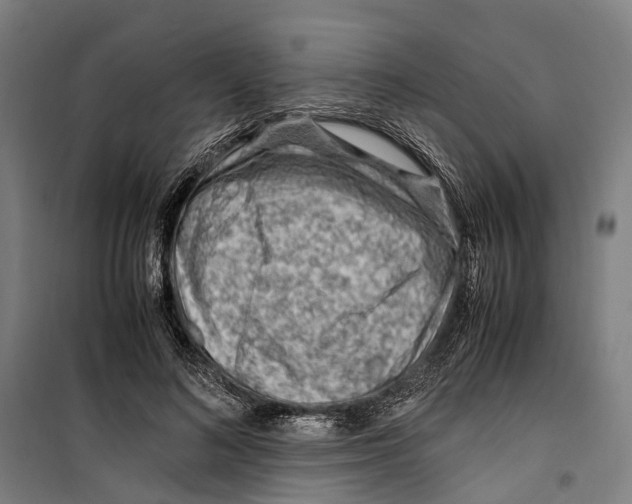 X0000099510692200806121439