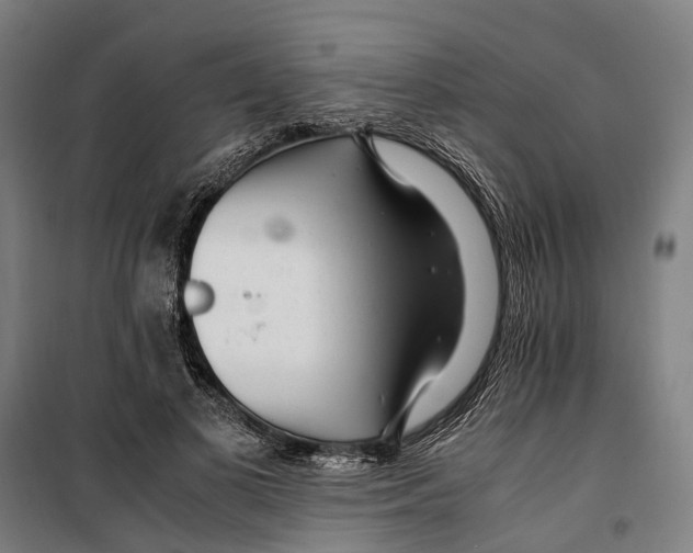 X0000099510693200806121439