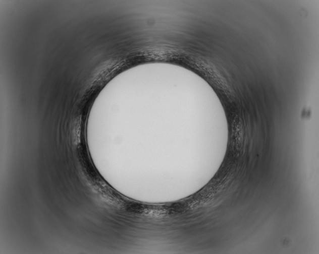 X0000099510694200806121439