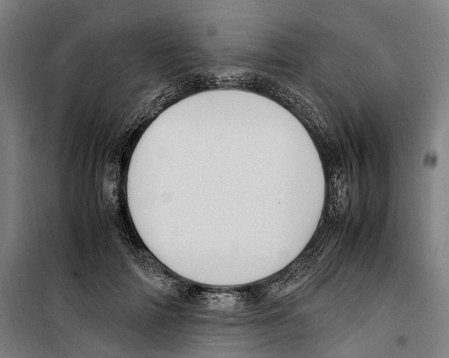 X0000099510698200806121439