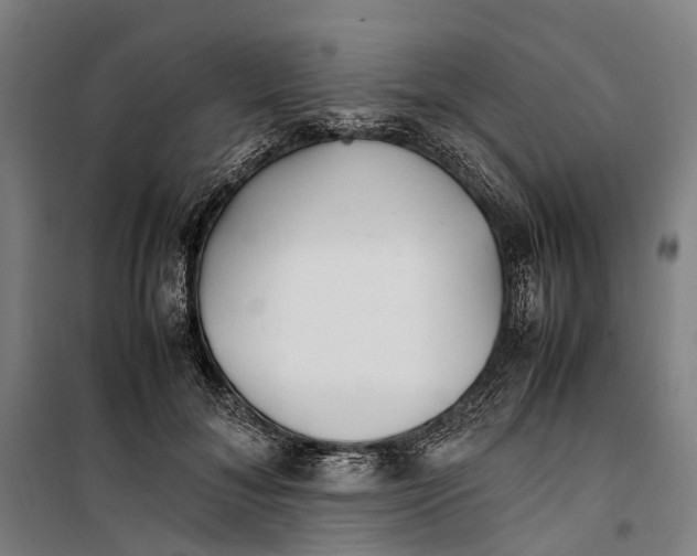 X0000099510700200806121439