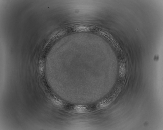 X0000099510701200806121439
