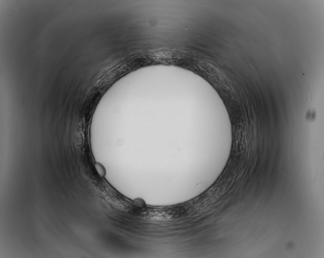 X0000099510702200806121439
