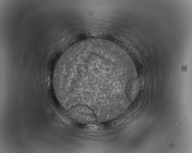 X0000099510703200806121439