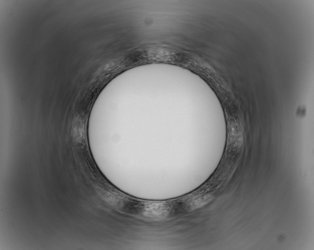 X0000099510705200806121439