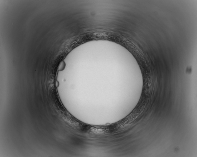 X0000099510706200806121439